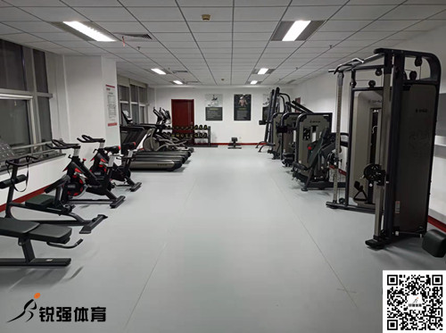 济南某集团采购的williamhill提供的健身器材